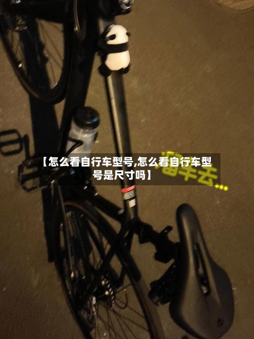 【怎么看自行车型号,怎么看自行车型号是尺寸吗】