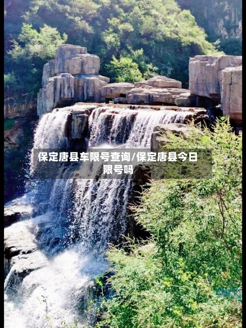 保定唐县车限号查询/保定唐县今日限号吗