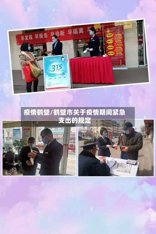 疫情鹤壁/鹤壁市关于疫情期间紧急支出的规定