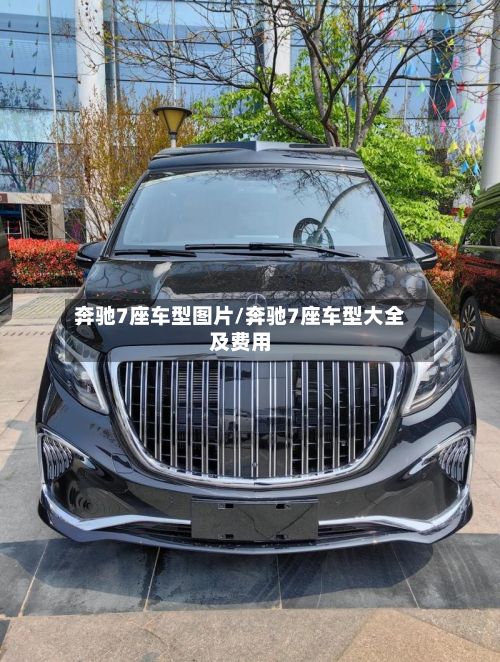 奔驰7座车型图片/奔驰7座车型大全及费用