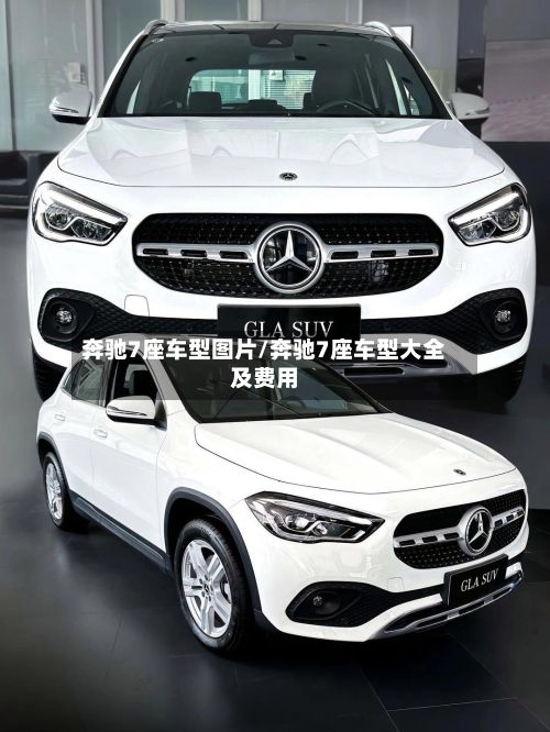 奔驰7座车型图片/奔驰7座车型大全及费用-第2张图片