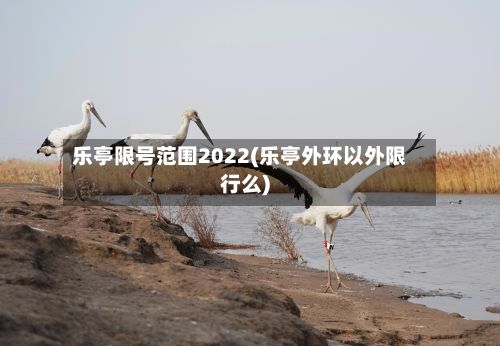 乐亭限号范围2022(乐亭外环以外限行么)