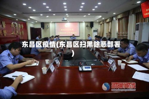 东昌区疫情(东昌区扫黑除恶部署)-第3张图片