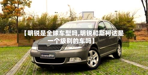 【明锐是全球车型吗,明锐和斯柯达是一个级别的车吗】