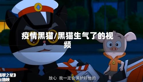 疫情黑猫/黑猫生气了的视频