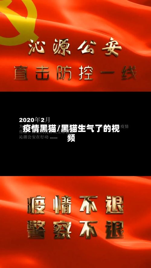 疫情黑猫/黑猫生气了的视频-第2张图片