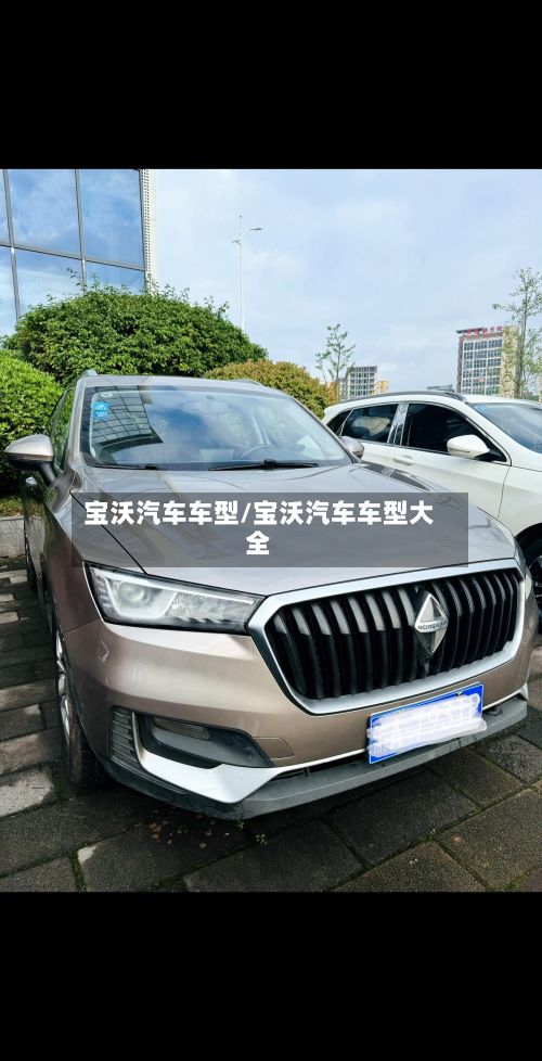 宝沃汽车车型/宝沃汽车车型大全