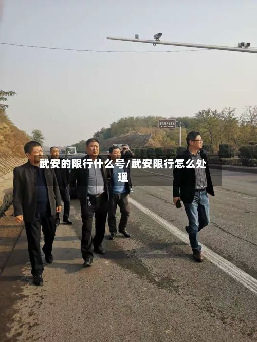 武安的限行什么号/武安限行怎么处理-第2张图片