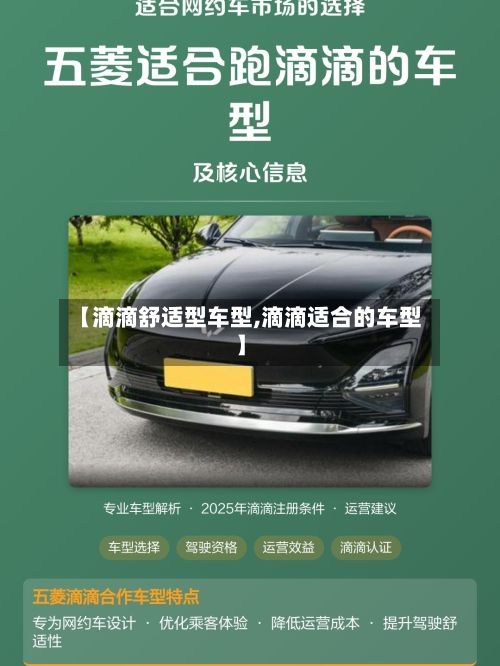 【滴滴舒适型车型,滴滴适合的车型】