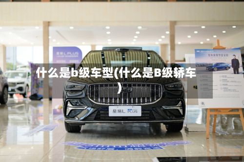 什么是b级车型(什么是B级轿车)-第3张图片