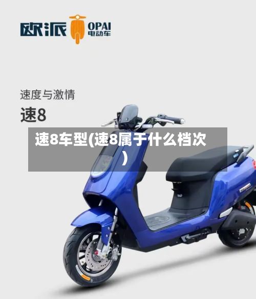 速8车型(速8属于什么档次)-第2张图片