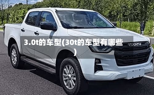 3.0t的车型(30t的车型有哪些)-第2张图片