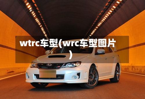 wtrc车型(wrc车型图片)