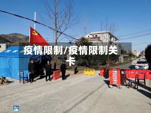 疫情限制/疫情限制关卡-第3张图片