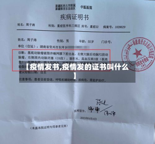 【疫情发书,疫情发的证书叫什么】-第3张图片