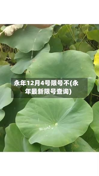 永年12月4号限号不(永年最新限号查询)