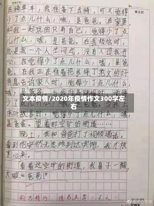 文本疫情/2020年疫情作文300字左右-第3张图片