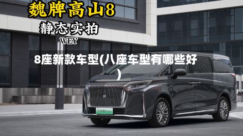 8座新款车型(八座车型有哪些好)-第2张图片