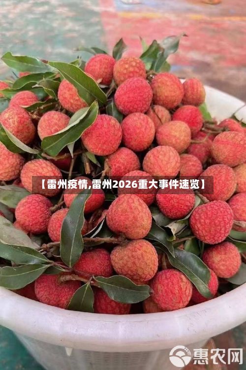 【雷州疫情,雷州2026重大事件速览】