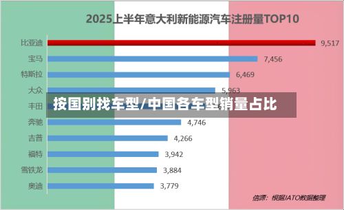 按国别找车型/中国各车型销量占比-第2张图片