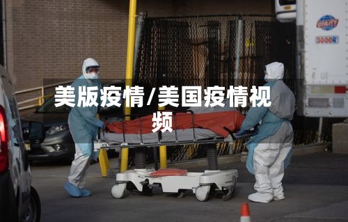 美版疫情/美国疫情视频-第2张图片
