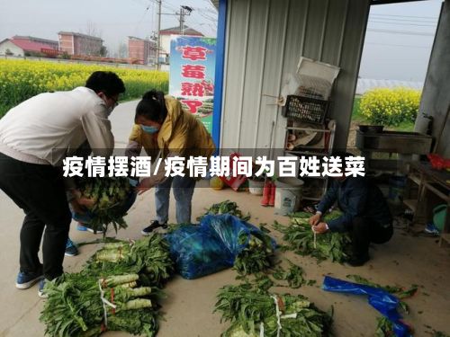 疫情摆酒/疫情期间为百姓送菜-第2张图片