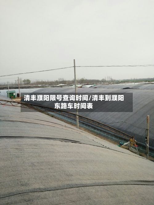 清丰濮阳限号查询时间/清丰到濮阳东路车时间表