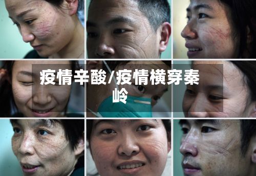 疫情辛酸/疫情横穿秦岭