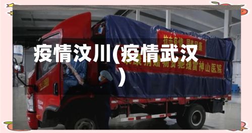 疫情汶川(疫情武汉)-第2张图片