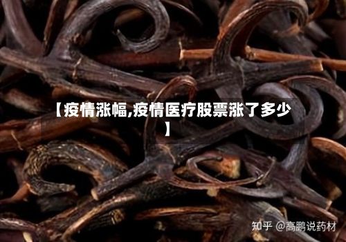 【疫情涨幅,疫情医疗股票涨了多少】-第3张图片