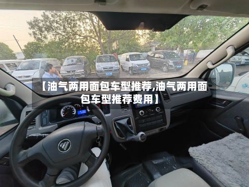 【油气两用面包车型推荐,油气两用面包车型推荐费用】-第3张图片