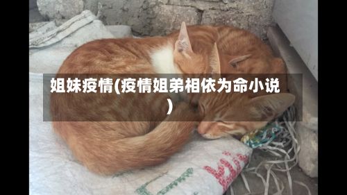 姐妹疫情(疫情姐弟相依为命小说)