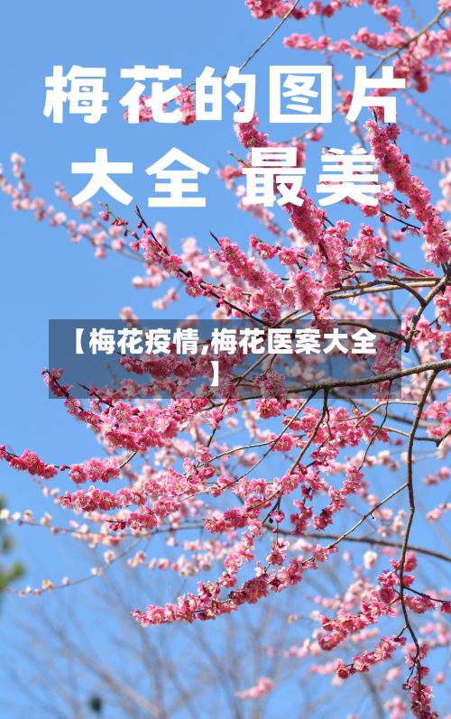 【梅花疫情,梅花医案大全】-第3张图片