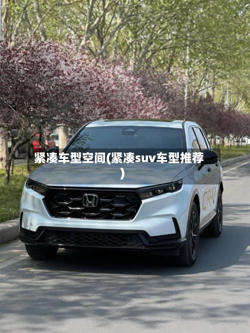 紧凑车型空间(紧凑suv车型推荐)