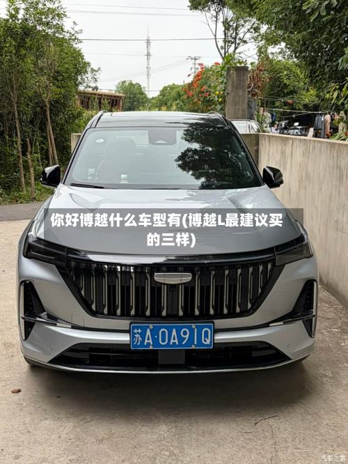 你好博越什么车型有(博越L最建议买的三样)