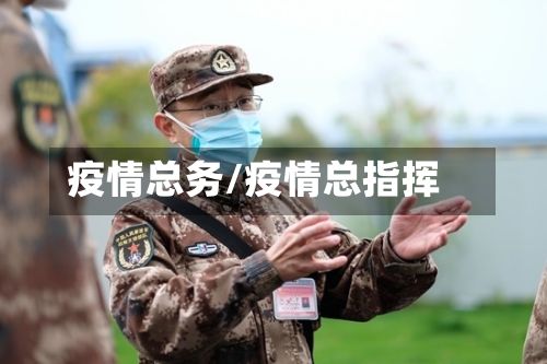 疫情总务/疫情总指挥-第3张图片