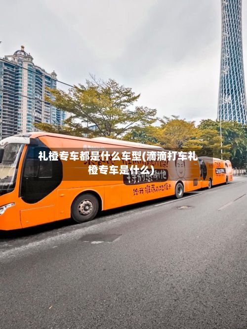 礼橙专车都是什么车型(滴滴打车礼橙专车是什么)-第2张图片