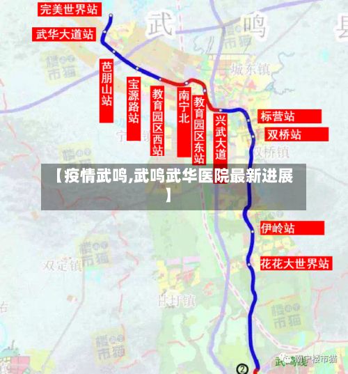 【疫情武鸣,武鸣武华医院最新进展】-第2张图片