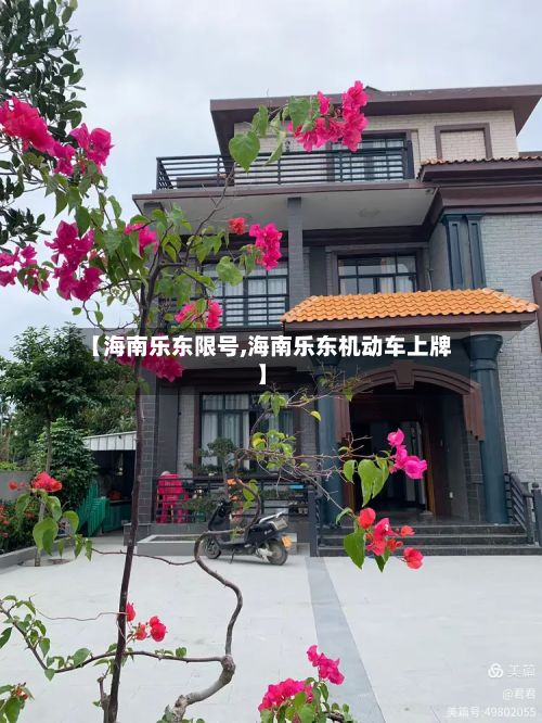【海南乐东限号,海南乐东机动车上牌】-第2张图片