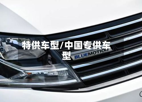 特供车型/中国专供车型-第2张图片