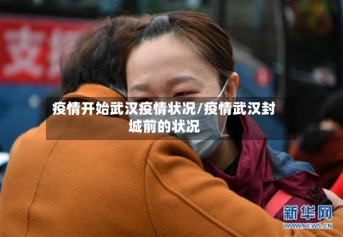 疫情开始武汉疫情状况/疫情武汉封城前的状况-第3张图片