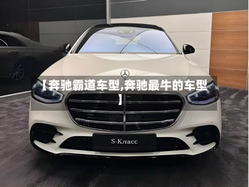 【奔驰霸道车型,奔驰最牛的车型】-第3张图片