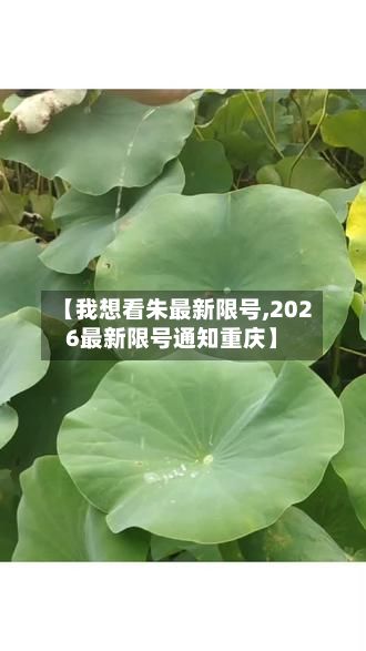 【我想看朱最新限号,2026最新限号通知重庆】-第2张图片