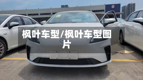 枫叶车型/枫叶车型图片-第2张图片