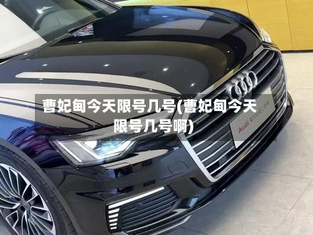 曹妃甸今天限号几号(曹妃甸今天限号几号啊)