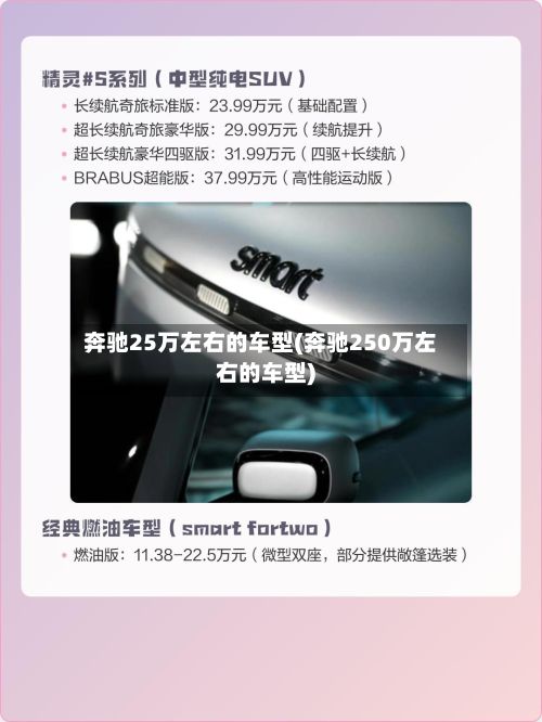 奔驰25万左右的车型(奔驰250万左右的车型)