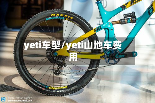 yeti车型/yeti山地车费用