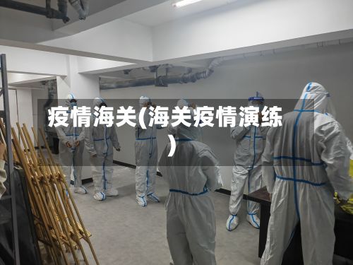 疫情海关(海关疫情演练)