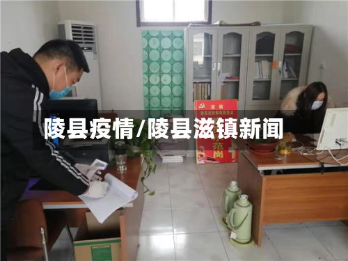 陵县疫情/陵县滋镇新闻-第2张图片