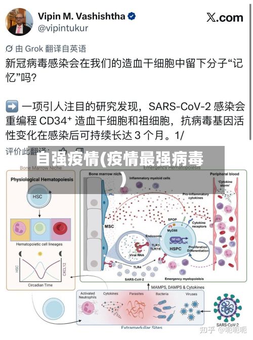 自强疫情(疫情最强病毒)-第2张图片